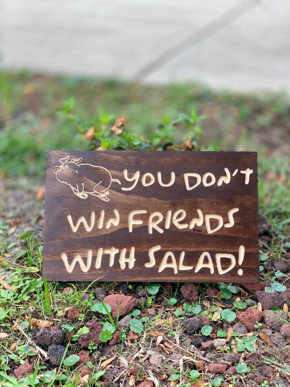 You Don't Win Friends with Salad sign (w/pig)